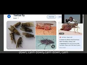 JSS2 | Grade 8 | Basic Science Quiz