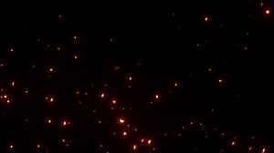 Fire particles sparks rising up flow from bottom to top on black background used for overlay for your project. 4K 3D animation of fiery orange glowing flying ember burning ash particles. | Premium Stock Video Footage