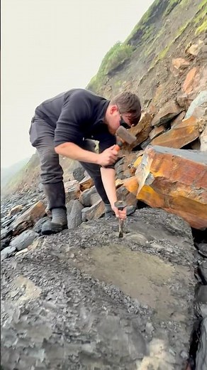 This Soft Shale HIDES A Fossil! Fossil Hunting On A Pebble Beach 🤯