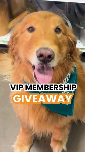 13 reactions · 21 shares | The Ultimate Pet Giveaway Has Arrived! ✨...