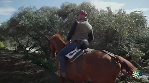 163K views · 4.5K reactions | VÍDEO | En Todo Caballo, jornada de trabajo a caballo de Juan Pedro Domecq en su ganadería brava. Cría la línea genética de ganado bravo más antigua que se conoce y que data de 1790. También 'Masterclass' del tricampeón de Doma Vaquera Luis Benítez, en la playa de Tarifa. Aquí lo puedes ver | COPE Pozoblanco | Facebook