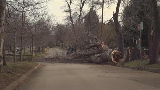 Extreme winds increase fire danger in Boulder County, leading to power outages and road closures