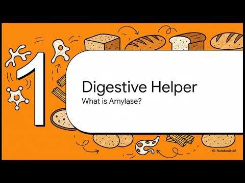 Amylase Blood Test Explained | MediByte