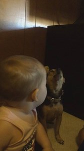 These two best friends spend their time singing together in the most adorable duet ever. | Rumble