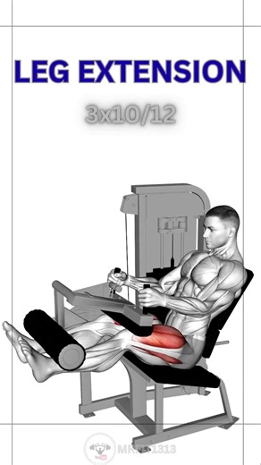 Build Strong Legs Fast with These 6 Moves! 🦵#legexercise #legday #gymworkout #biglegs