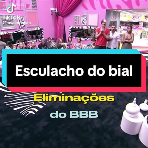 Resumão Big Brother Brasil: Eliminações e Polêmicas