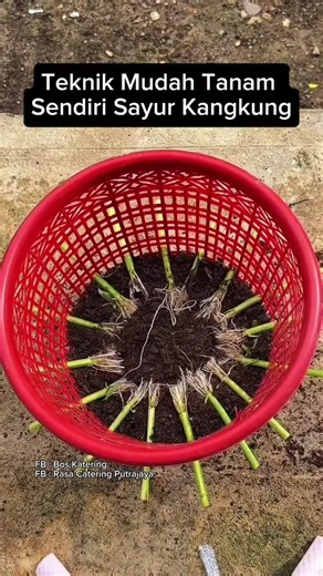 Burmese Proverbs: Trust and the 40-Year-Old