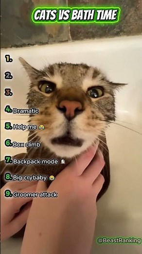 Cat Bath Fails and Funny Moments 😹🛁 #shorts
