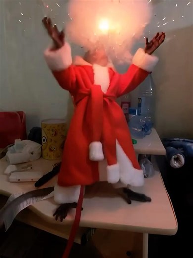 Monkey is negligent and causes an explosion #monkey #brave #viral #funny