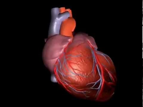 The Treatment of Ventricular Dyssynchrony