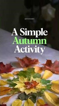 Autumn Leaf Activity for Kids | Nature Play Sorting & Leaf Mandala | Simple Outdoor Learning