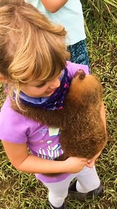 This is the dream life!! 🥺🦥⭐️ #InternationalSlothDay | The Pet Collective