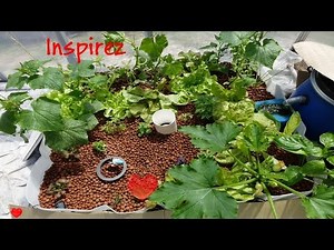 🧡 Pratiquer la cohérence cardiaque