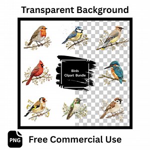 Bird Clipart Illustrations: Transparent PNG Images (digital Download) - Etsy Canada