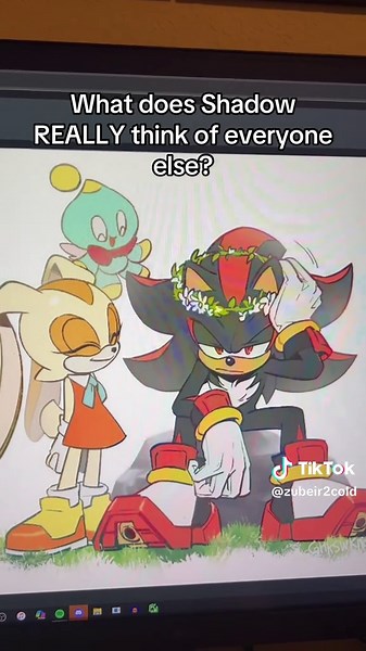 Shadow Reveals His Thoughts on Sonic Characters (Part 2)