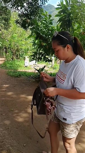 Mabilis pa sa alas kwatro #ecellblog | Ecell blog