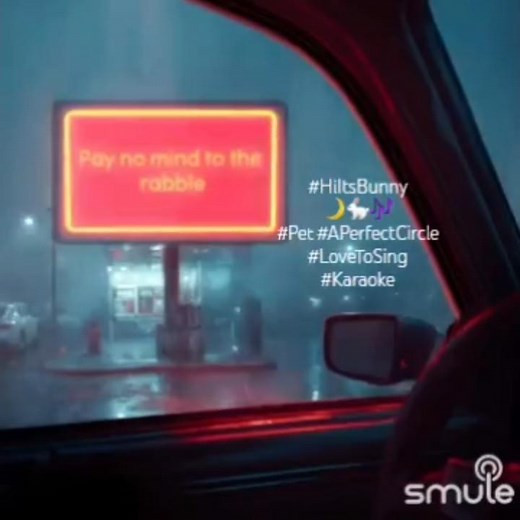 Pet -A Perfect Circle #Karaoke #Smule #HiItsBunny #LoveToSing 🌙🐇🎶