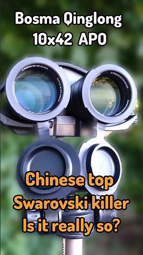 Bosma Qinglong 10x42 APO – Swarovski Killer or Just Hype?