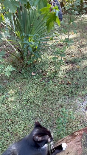 Amy Bennett Williams on Reels