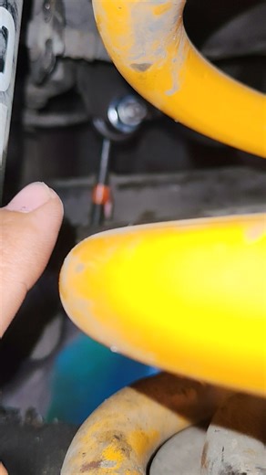 Camber Allignment Front & Rear | Don Zosimo TeeVee