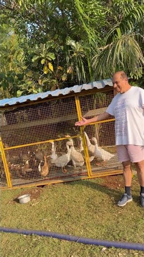 Hobby for Nature Lovers Birdwatching is the Perfect hobby More siniour citizen enjoy bird watching