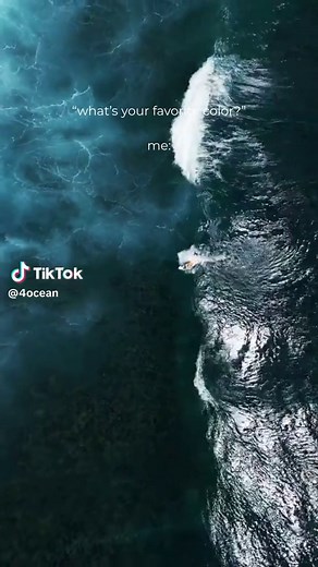 Blue Ocean Vibes & Tate Global Kingspan