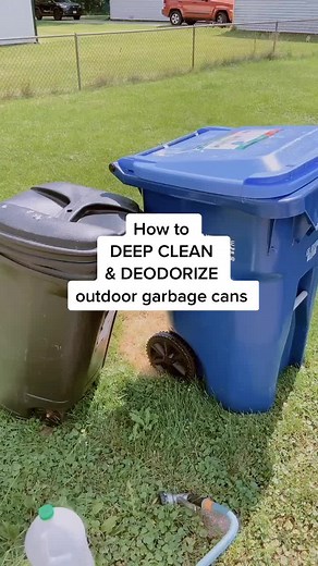 How to Deep Clean & Deodorize Outdoor Garbage Cans
