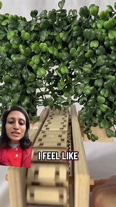 Stoccafisso Design | Artlust