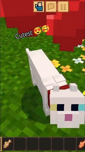 how to tame cat in Minecraft like and subscribe