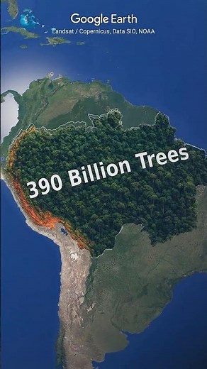 Amazon Rainforest — Earth’s Beating Heart | World’s Largest Jungle Explained