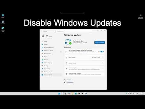 Pause Windows Updates - Windows 11