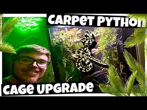 How I insulated A ZooMed Cage Into a Jungle Carpet Python Luxury (Jungle Carpet Python Cage Upgrade)