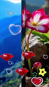 Jurema Araujo on Reels