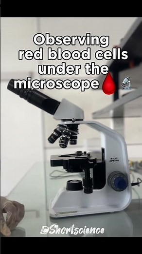 Observing red blood cells 🙀🩸🔬