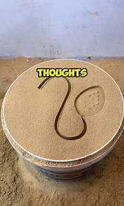 478K views · 4.2K reactions | Random facts | Knowledge Hub | Facebook