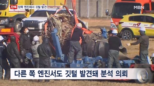 [단독] ″양쪽 엔진서 모두 깃털 발견″…엔진 다 꺼져 '셧다운' 무게