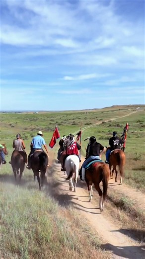 Honored that the Cheyenne and OglalaLakota Chiefs used Medicine Tail Trail Ride horses🪶 #indigenous
