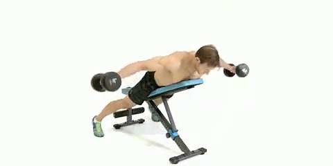 Dumbbell incline rear fly