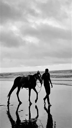 #shaire #1millionviews #punjabi