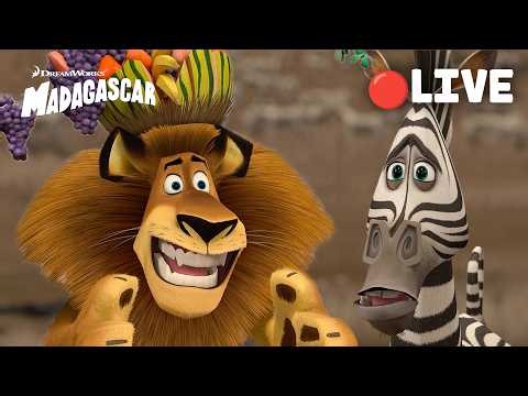 🔴 LIVE 🌴 The Most Iconic Madagascar Moments EVER 🦓🦁🦛🦒 Madagascar 1-3 Movie Clips | Animal Friends