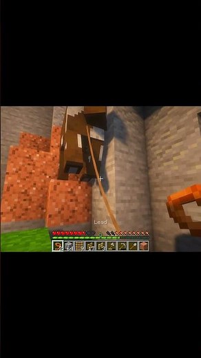 How to make cow pet in Minecraft #minecraft #minecraftshorts