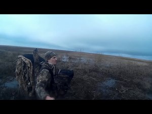 Весенняя охота на ГУСЯ 2022 .Один в поле воин!!!Много налетов.goose hunting. a caccia d'oca