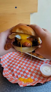 1.3K views · 38 reactions | Did you know Windsor, Ontario is home to...