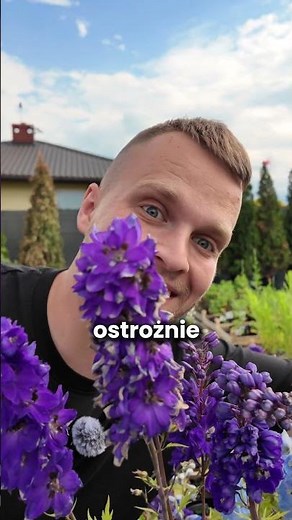 Wiedzieliście że ta roślina jest toksyczna? 😋🤣#kwiaty #ogród #rośliny