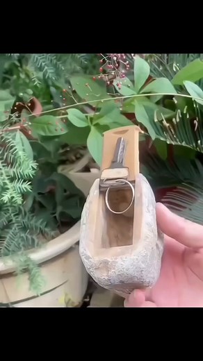 Top-tier security😂😂 🎥IG@blessednjugush | Newchic