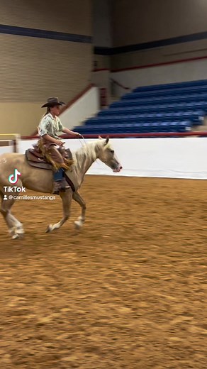 5.1K views · 291 reactions | All checked in at the 2023 Fort Worth mustang show! Really excited to show everyone what Muse has got! Classes start tomorrow with the preview class, trail, and the horsemanship freestyle class! Wish us luck! | Camille's Mustangs | Facebook