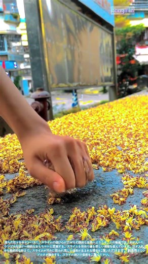 スライムの芸術：散りゆく花々のベッドでスライムと遊ぶ