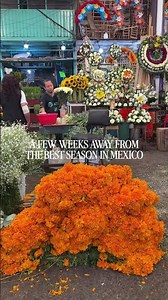 Día de Muertos Is Almost Here: Cempasúchil Across Mexico #clubtengohambre