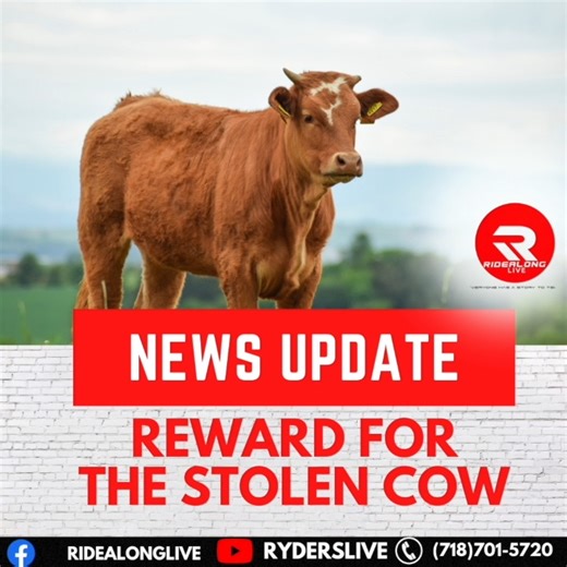 We want back our cow.. REWARD WENT UP!! Related Story - 📸 https://www.facebook.com/share/v/QDQUKAAgfSwTcoKQ/?mibextid=WC7FNe | Ridealonglive
