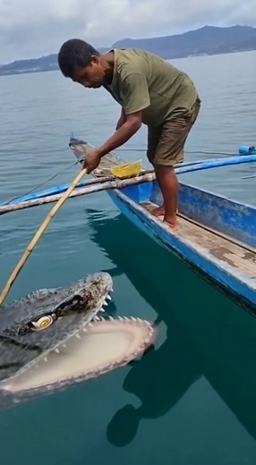 3.5M views · 9.4K reactions | What kind of fish is this Part 16 #AI #mermaid #virałpost #fishing | WAT DAH EF | Facebook